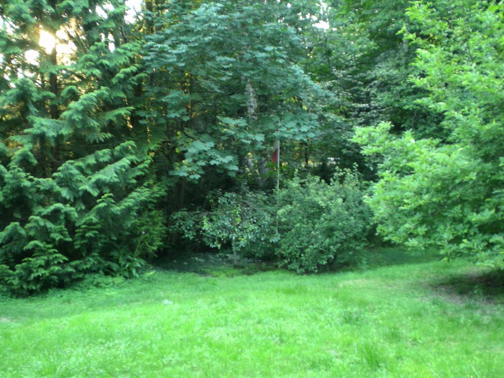 مبيت وإفطار سيتشيلت Davis Brook Retreat المظهر الخارجي الصورة