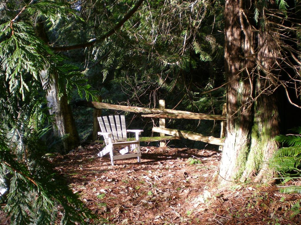 مبيت وإفطار سيتشيلت Davis Brook Retreat المظهر الخارجي الصورة