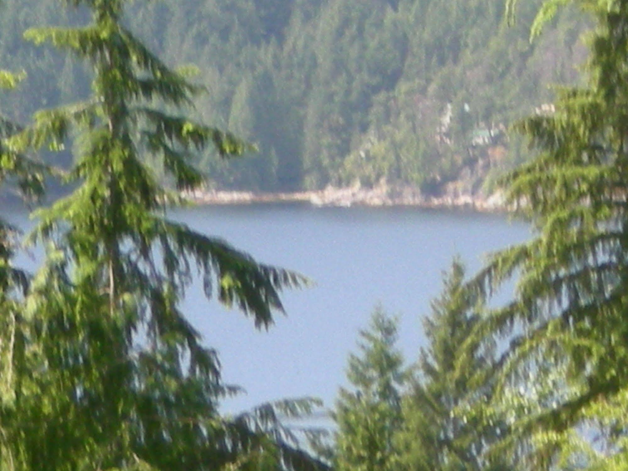 مبيت وإفطار سيتشيلت Davis Brook Retreat المظهر الخارجي الصورة