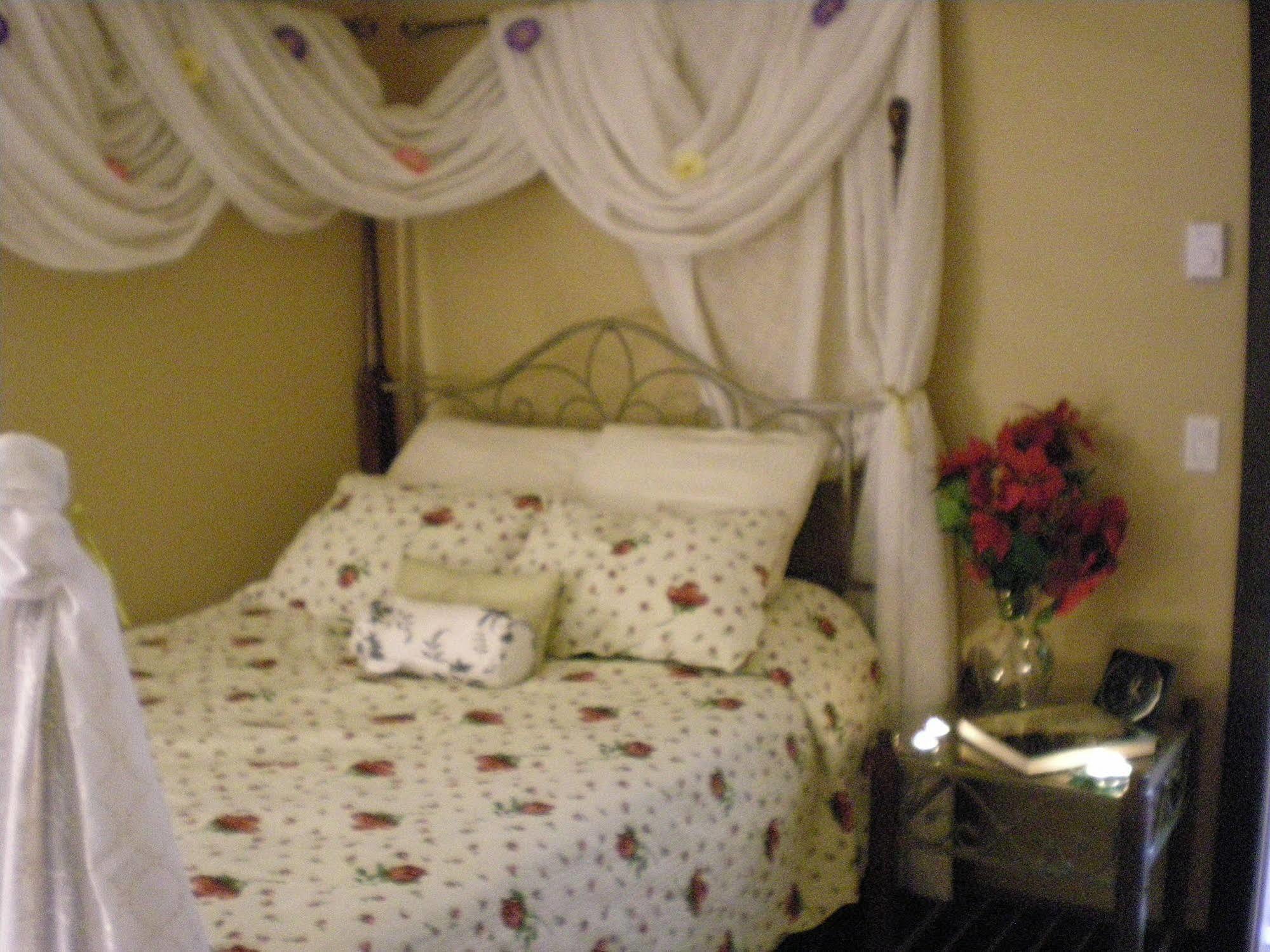 مبيت وإفطار سيتشيلت Davis Brook Retreat المظهر الخارجي الصورة